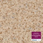 Коммерческий линолеум Tarkett ACCENT PRO 100010