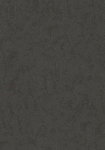 4232-8