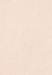4232-9