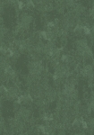 2898-4