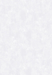 2898-8