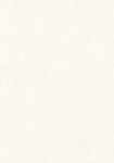 2885-2
