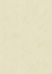 2897-4