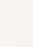 2897-6