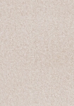 2982-4