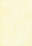 3538-9