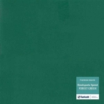 Линолеум спортивный Таркетт Omnisports FOREST GREEN